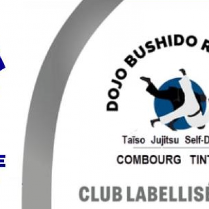 DOJO BUSHIDO RYU