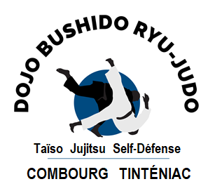 Logo DOJO BUSHIDO RYU